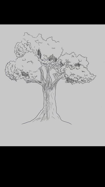 How to draw a tree / Paano mag drawing ng puno .